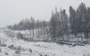 Snow in the Mackenzie country after the large fire near Twizel.