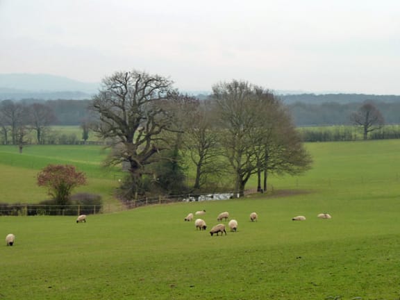 English pastoral scene