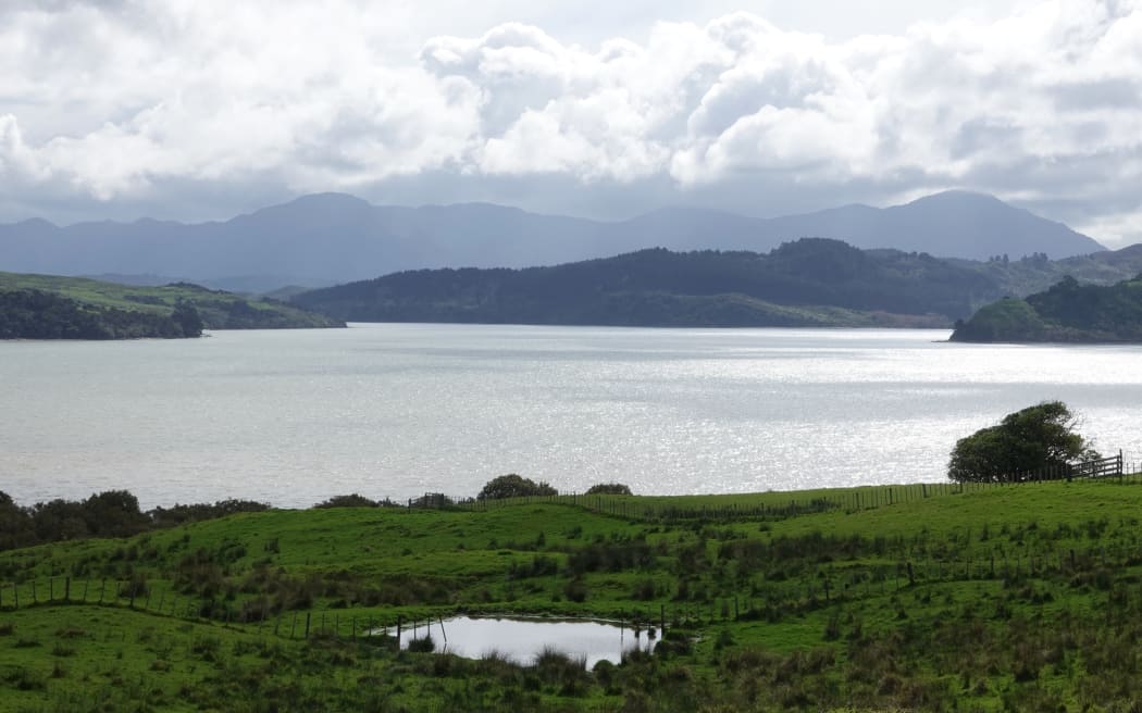 Hokianga Harbour, seen from just up the hill from Rāwene’s sewage treatment plant.