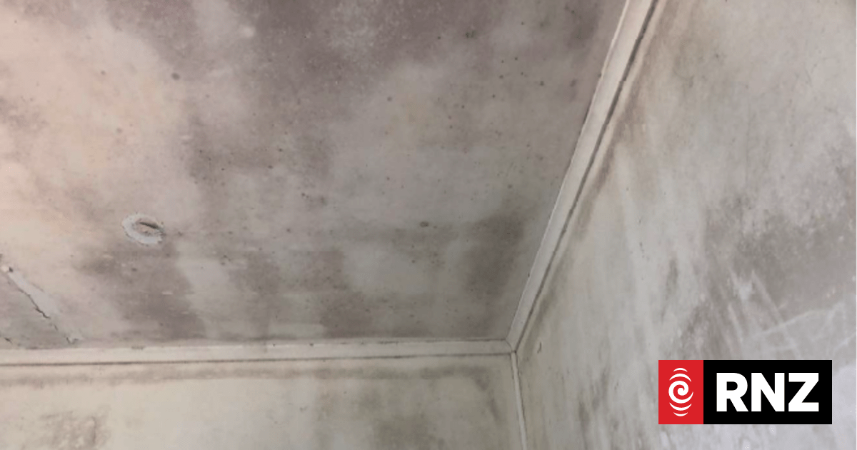 租赁仲裁庭对一违规房东处以6万余纽元惩罚性赔偿