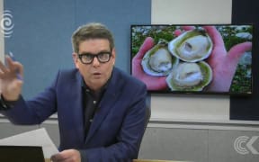 All farmed oysters on Stewart Island to be culled