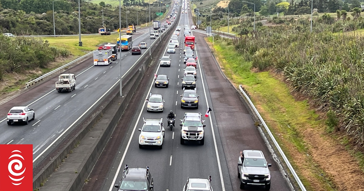 Thousands Protest New Government S Policies On Maori Issues RNZ   4KYHLLD Image Jpg