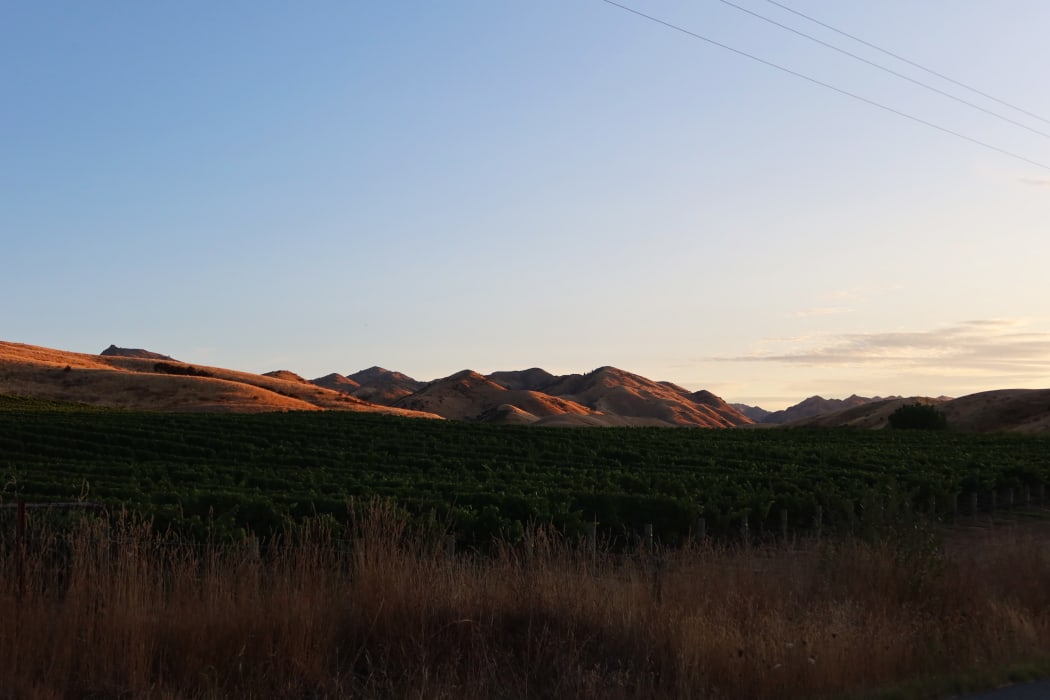 Some residents fear their "peaceful" Omaka Valley lifestyle will be ruined if the application is approved.