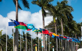 PIF Flags