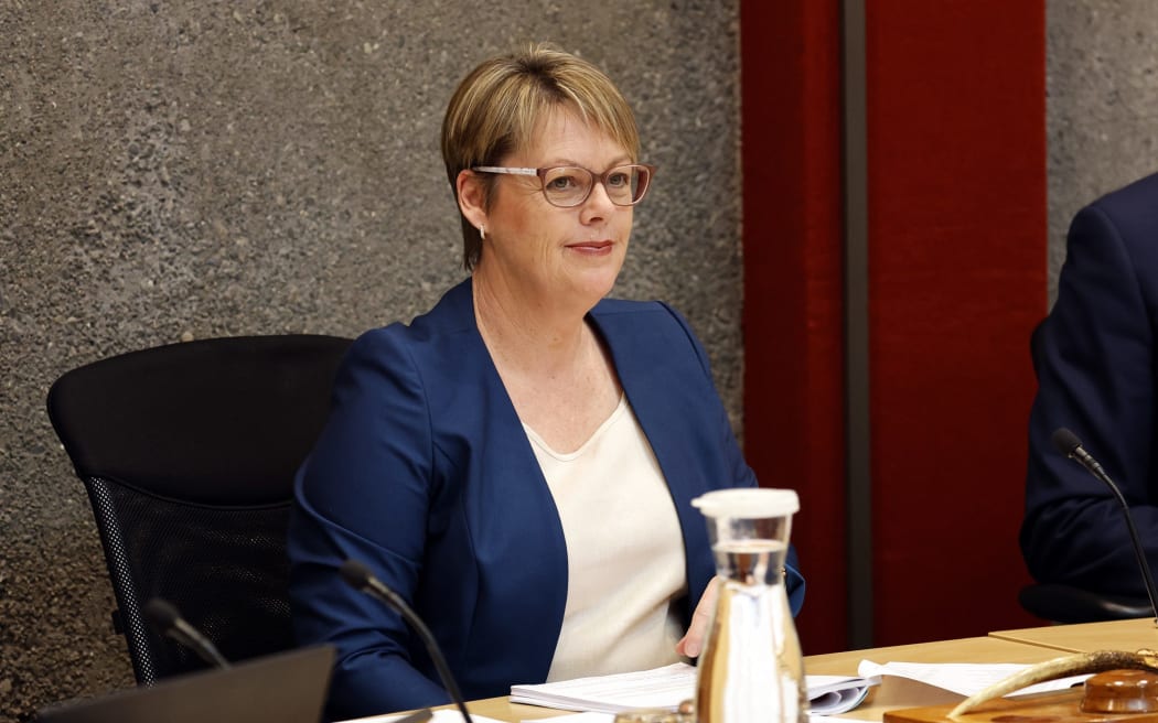 Marlborough mayor Nadine Taylor said the study will identify a “series of potential options” for solving access issues in the Marlborough Sounds.