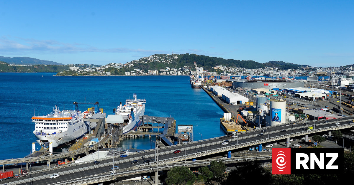 Maritime NZ launches investigation after worker dies at Wellington port