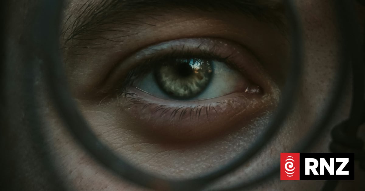 Overhaul of eyewitness identification laws needed to 'mitigate harm' - Commissioner