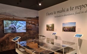 Some of the taonga on display.