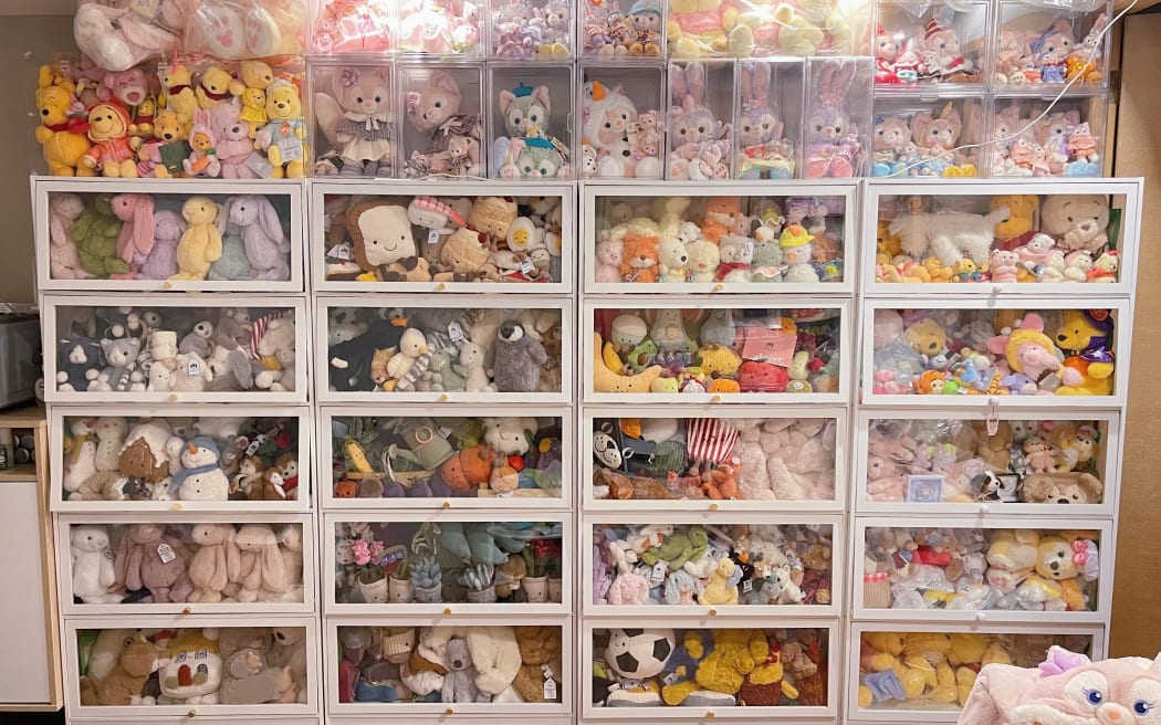 Lily says she has a lot of soft toys at home, including about 500 Jellycat ones.