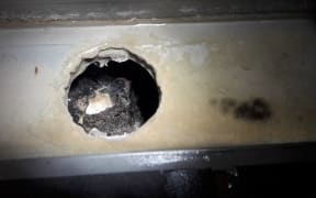 An example of the photos sent to the council showing bacteria buildup beneath tiling at the Woburn development.
