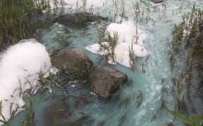 Foam forms on the Utukura river after a massive algal bloom.