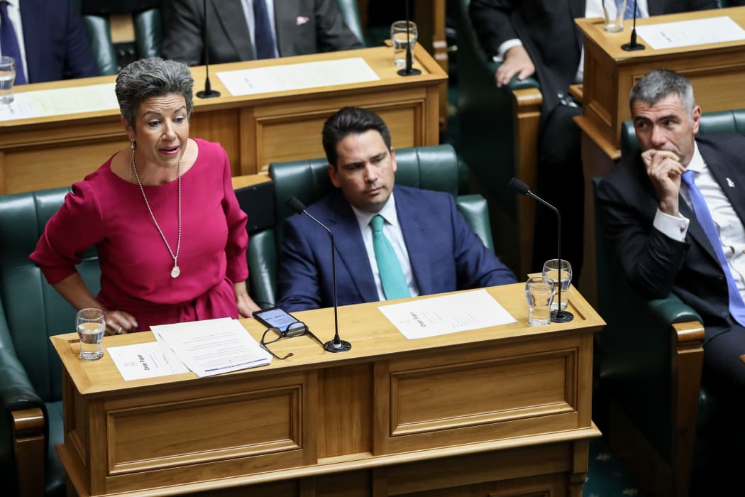 National Deputy Leader Paula Bennett in the House