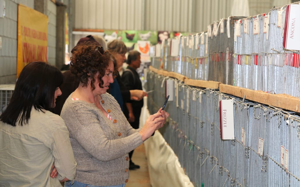 The National Poultry and Pigeon Show