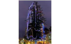 Port Macquarie's Christmas tree failed to live up to expectations - and has also become an internet meme.
