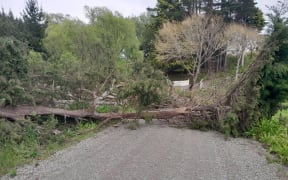 A strong wind warning is in place in Tararua district for severe gales gusting to 120km per hour.