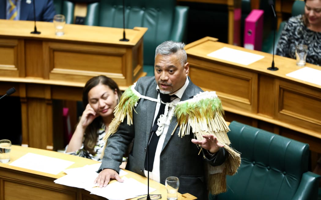 Green MP Teanau Tuiono give his maiden speech at Parliament