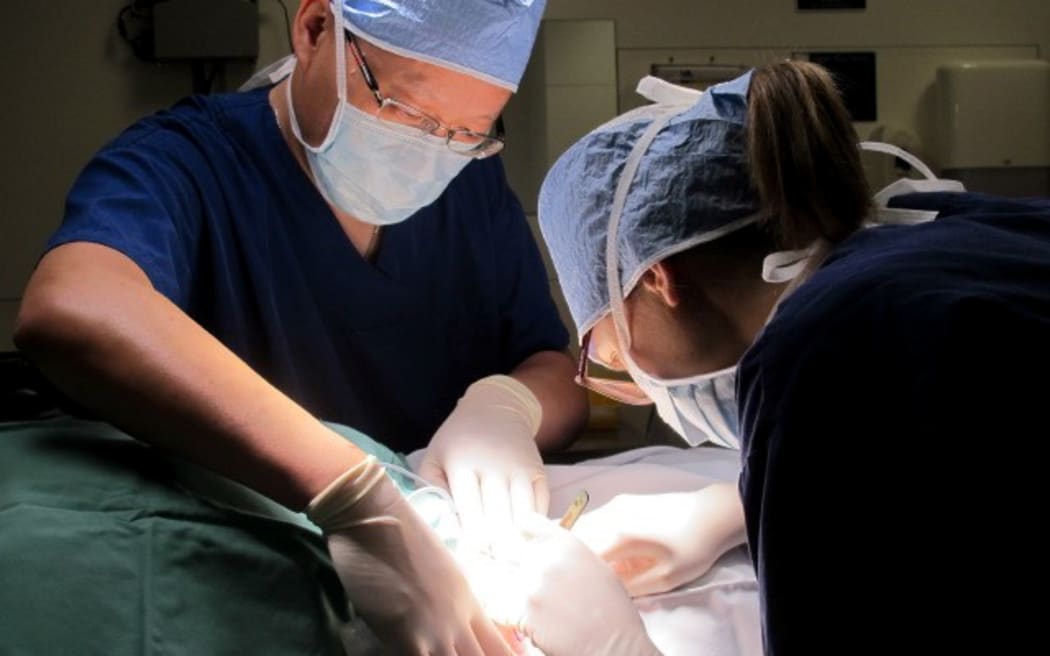 Dr Anthony Yung (left) with registrar Dr Georgina Harvey excising a skin cancer. For Karen Browns dermatology story