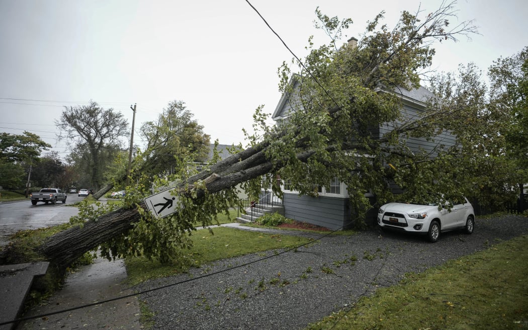 A tree sits against power lines and a home after Storm Fiona hits Nova Scotia in Canada.