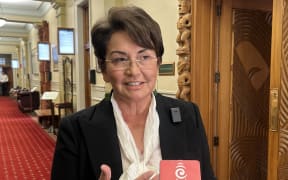 Former National minister Minister Hekia Parata made a submission to the Justice Select Committee on the Treaty Principles Bill, 13 February 2025.