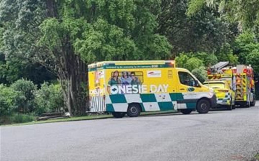 Possible homicide in Kakariki Grove in Waikanae