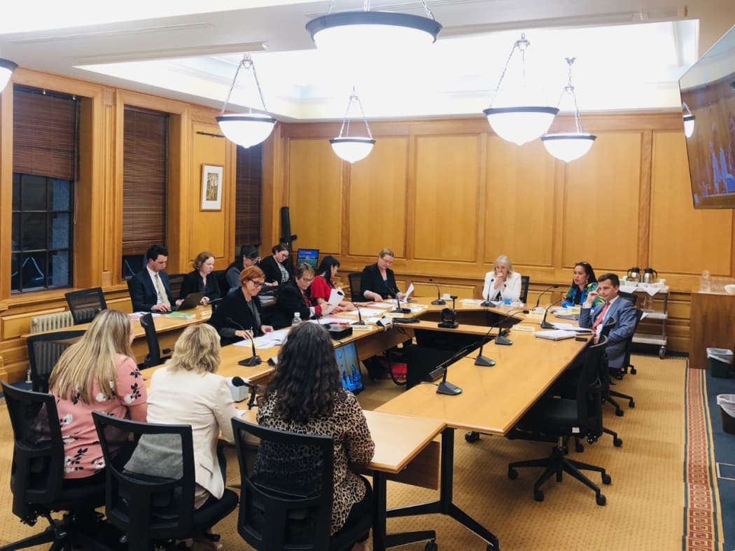 The Abortion Legislation Committee hears from submitters on abortion law reform