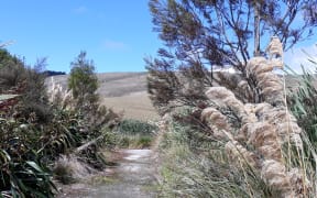 Pekapeka Wetlands, Hawke's Bay