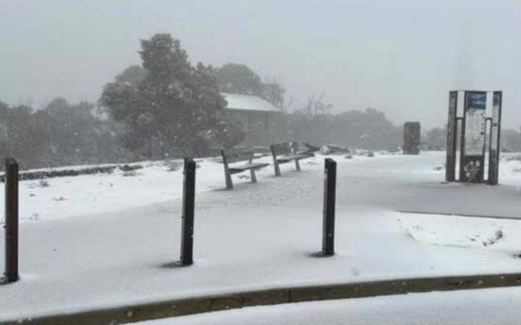 Snow falling on Mt Canobolas.