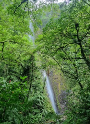 Waterfall on Epi Island, Vanuatu