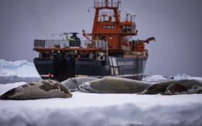 A ship in the Antarctic carrying Turkish scientists on a research expedition.
