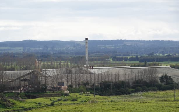 'It's a shock': Kaitāia's Northland Mill closes down two weeks early | RNZ