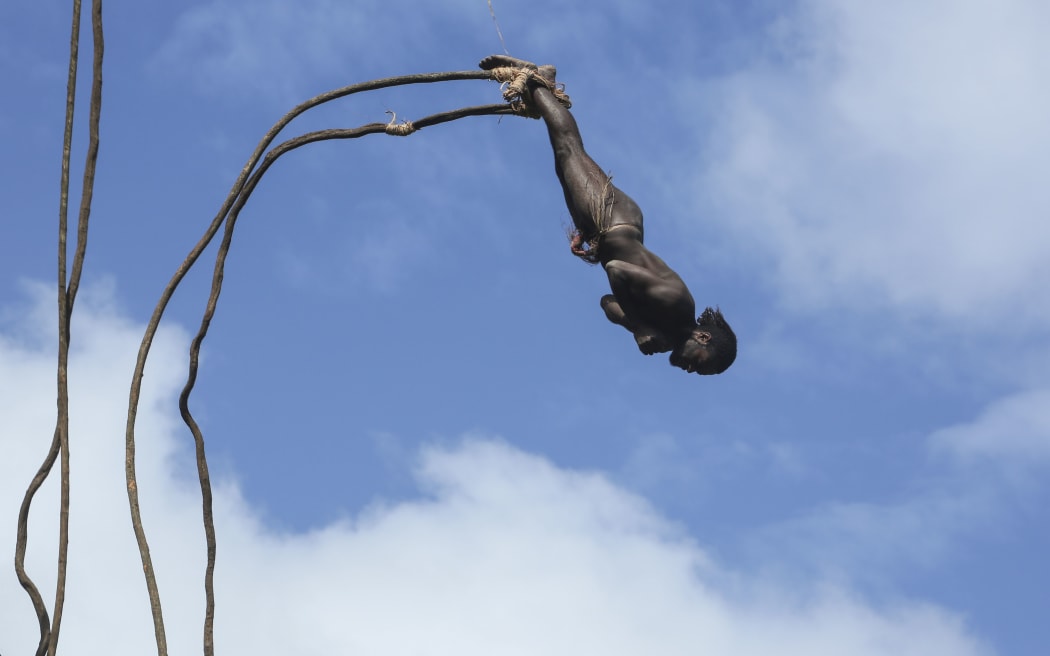 Traditional land diving ritual (Nangol) with vines tied to their feet, origin of modern Bungee Jumping, EDITORIAL