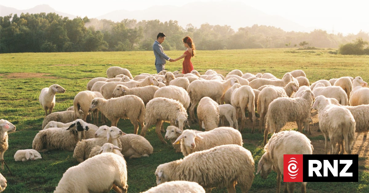 Young farmers flock to new dating app seeking long-term connections