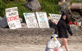 Mangawhai Beach protest meeting over McCallum Bros sand mining