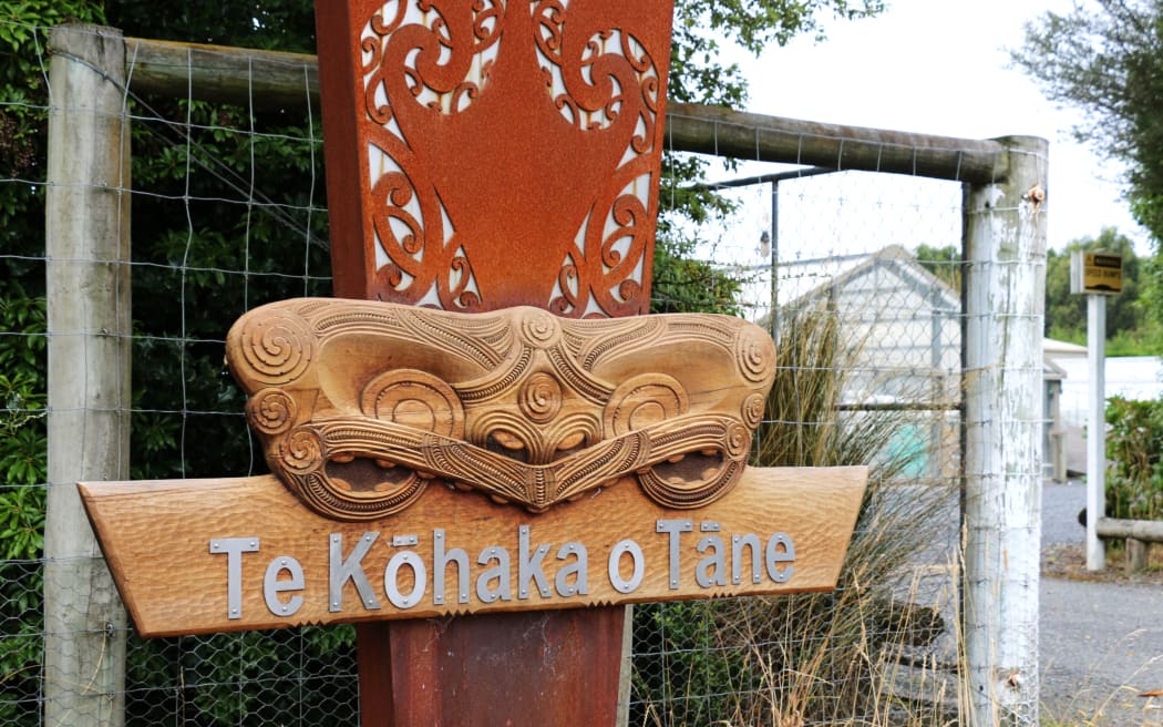 Te Kōhaka o Tāne