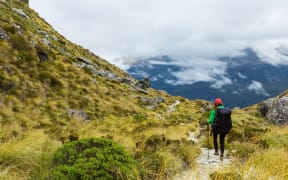 The Routeburn Track.