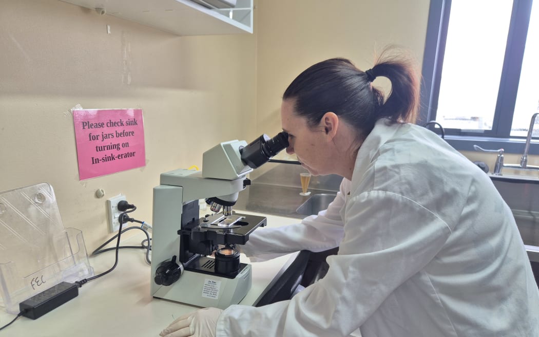 The Awanui lab can process up to 260 farmer samples each fortnight.