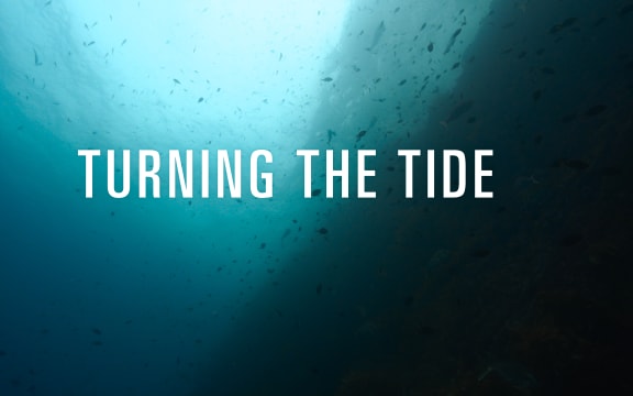 Turning the Tide banner image (temp)
