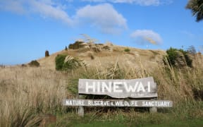 Hinewai Reserve