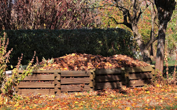 Compost pile