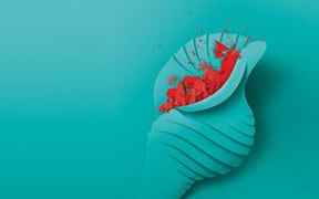 Wellington Pasifika festival logo