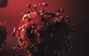 3D model design of the novel coronavirus virion