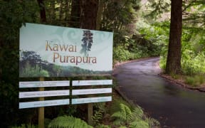 Chea Joss Cameron stayed at Kawai PuraPura in Albany. The centre is on the site of the former Centrepoint commune north of Auckland. Photo / Sarah Ivey