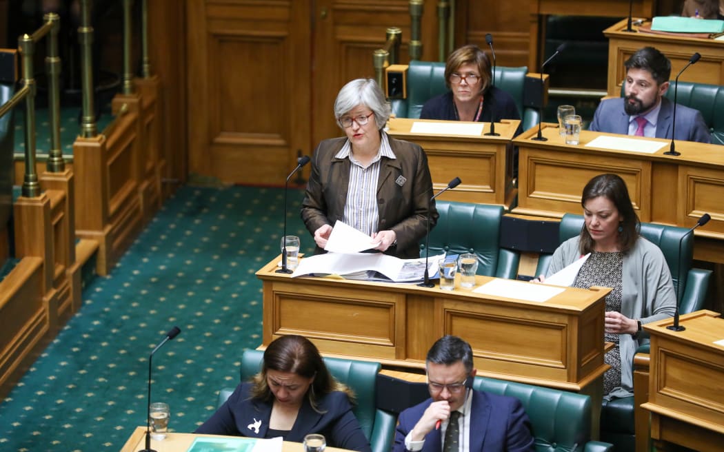 Green MP Eugenie Sage answering questions as the Minister of Conservation in 2020