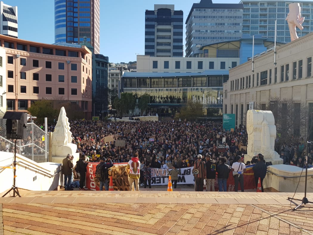 The crowd for the Black Lives Matter protest in Wellington.