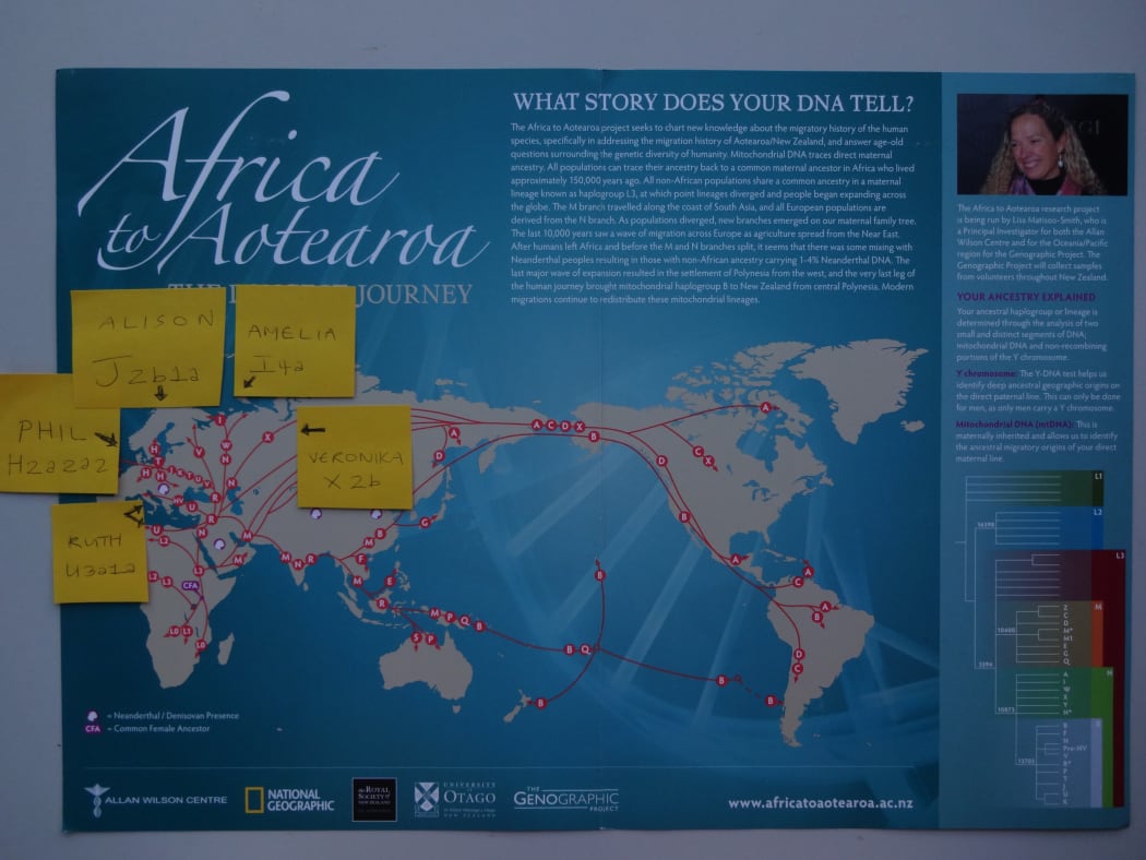 Map shows ancient genetic heritage of Radio NZ staff.
