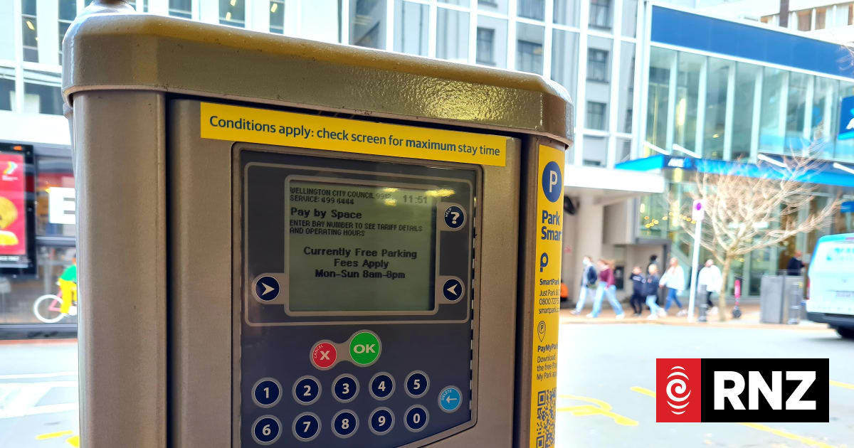 Hutt City parking meters hit with 'communications problem'