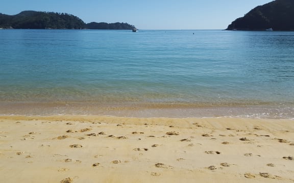 Abel Tasman beach