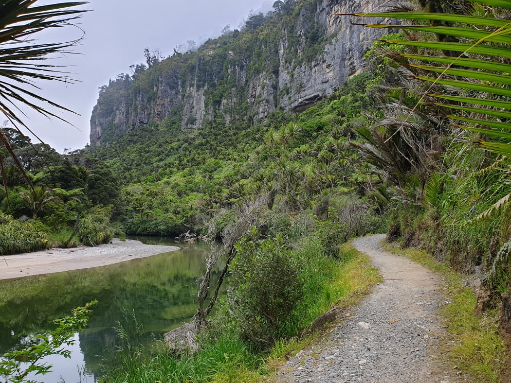 The Punakaiki end of the Paparoa Track.