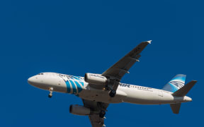 EgyptAir Airbus 320 (file)