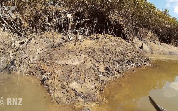 Human faeces and sanitary pads spill into Auckland creek